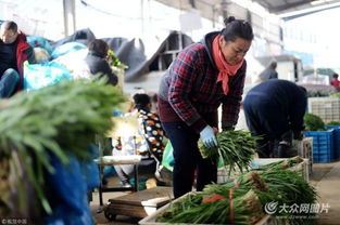 濟(jì)南實(shí)行“雙證制”管理，守護(hù)韭菜安全從源頭抓起