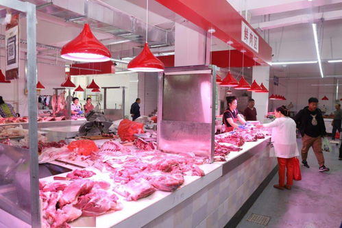 白城市節(jié)日市場生活必需品供應(yīng)充足平穩(wěn) 食用農(nóng)產(chǎn)品批發(fā)市場運行良好